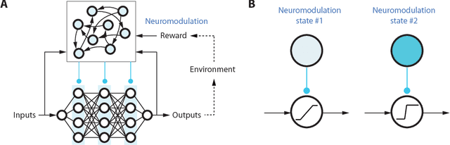 Figure 1 for Introducing Neuromodulation in Deep Neural Networks to Learn Adaptive Behaviours