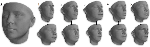 Figure 4 for A Survey on Face Data Augmentation