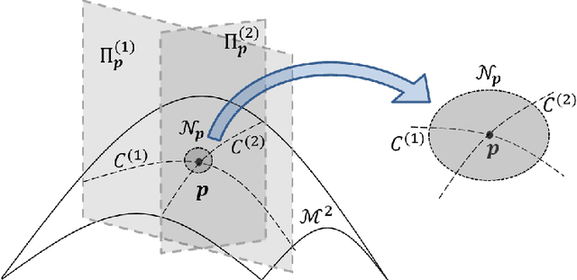 Figure 3 for Detecting phase transitions in collective behavior using manifold's curvature
