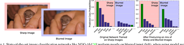 Figure 1 for Examining the Impact of Blur on Recognition by Convolutional Networks