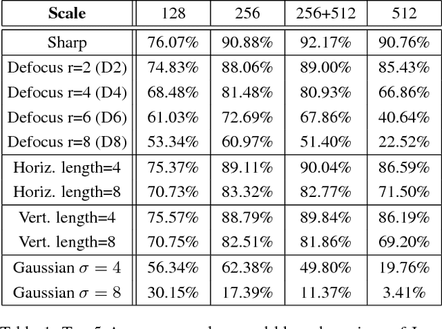 Figure 2 for Examining the Impact of Blur on Recognition by Convolutional Networks