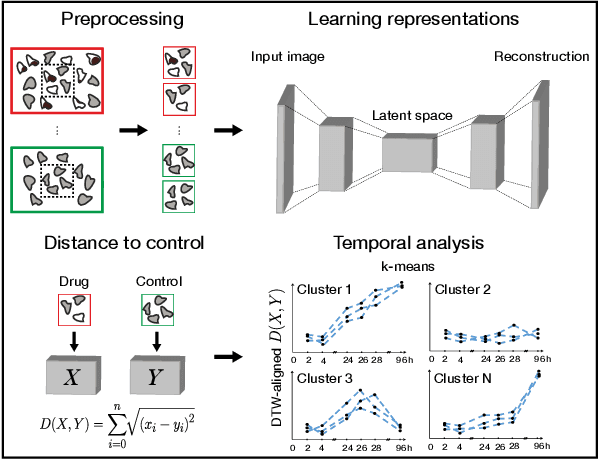 Figure 3 for Self-supervised learning for analysis of temporal and morphological drug effects in cancer cell imaging data