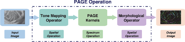 Figure 1 for Phase-Stretch Adaptive Gradient-Field Extractor (PAGE)
