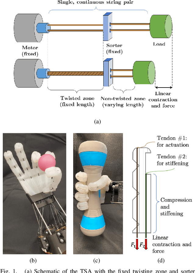 Figure 1 for Anthropomorphic Twisted String-Actuated Soft Robotic Gripper with Tendon-Based Stiffening