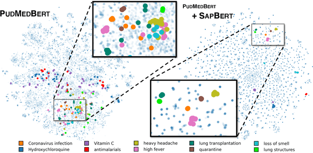 Figure 1 for Self-alignment Pre-training for Biomedical Entity Representations