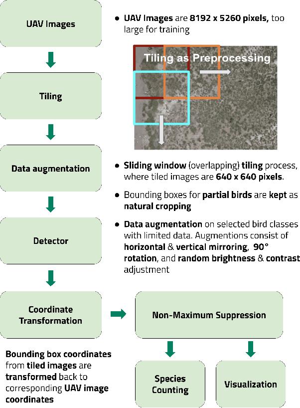 Figure 2 for Deep object detection for waterbird monitoring using aerial imagery