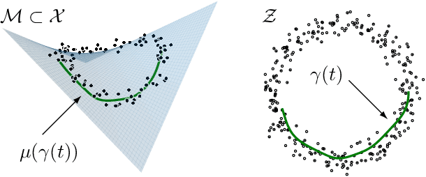 Figure 3 for Pulling back information geometry