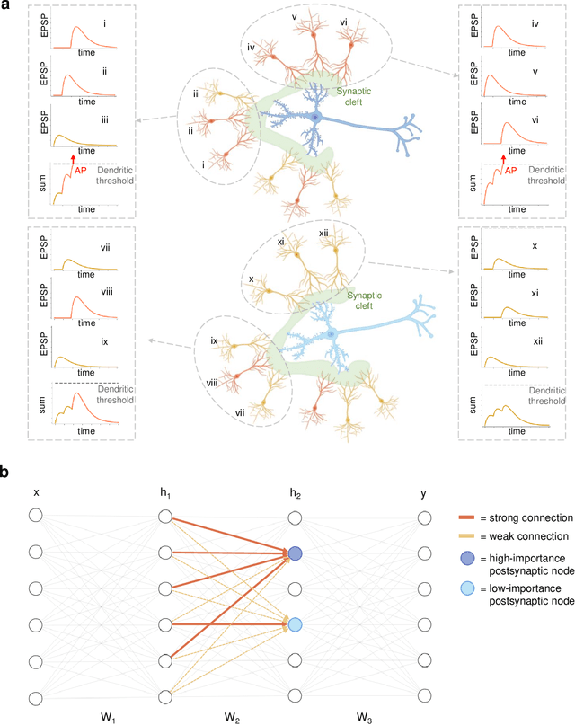 Figure 1 for Learning in Deep Neural Networks Using a Biologically Inspired Optimizer