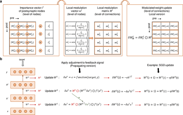 Figure 2 for Learning in Deep Neural Networks Using a Biologically Inspired Optimizer