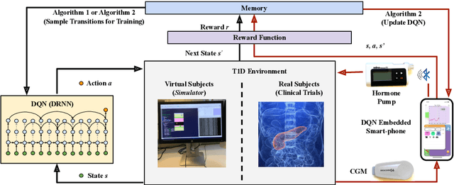 Figure 1 for Basal Glucose Control in Type 1 Diabetes using Deep Reinforcement Learning: An In Silico Validation
