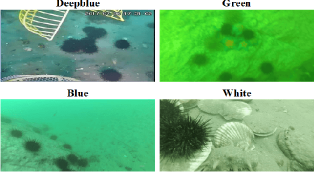 Figure 3 for Class balanced underwater object detection dataset generated by class-wise style augmentation