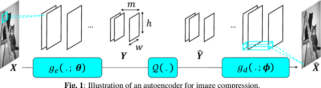 Figure 1 for Autoencoder based image compression: can the learning be quantization independent?