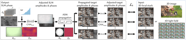 Figure 4 for Time-multiplexed Neural Holography: A flexible framework for holographic near-eye displays with fast heavily-quantized spatial light modulators