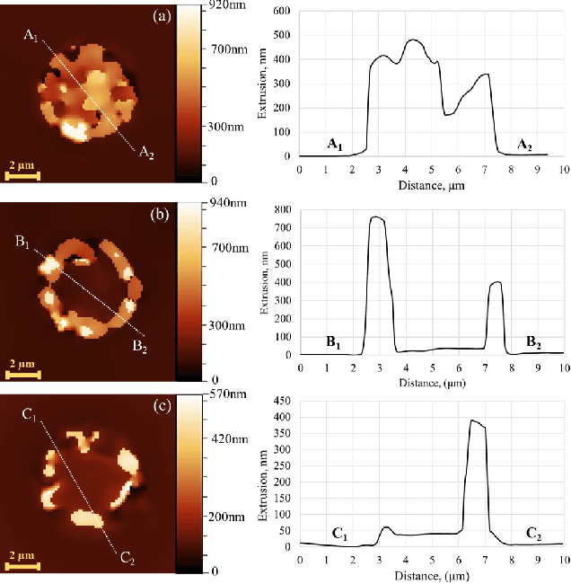 Figure 3 for TSV Extrusion Morphology Classification Using Deep Convolutional Neural Networks