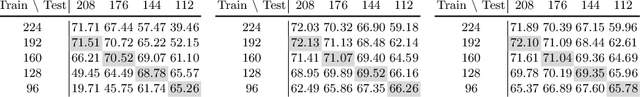 Figure 4 for Learning to Learn Parameterized Classification Networks for Scalable Input Images