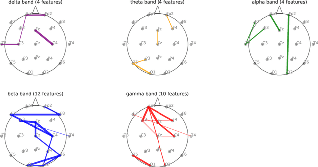Figure 3 for Resting-state EEG sex classification using selected brain connectivity representation