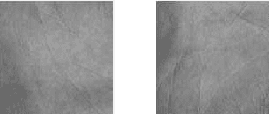 Figure 3 for Multispectral Palmprint Recognition Using a Hybrid Feature