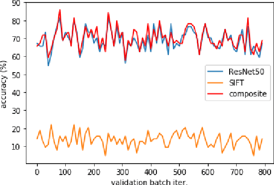 Figure 1 for Theoretical Investigation of Composite Neural Network