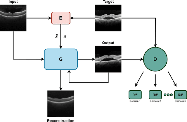 Figure 1 for Unsupervised Image to Image Translation for Multiple Retinal Pathology Synthesis in Optical Coherence Tomography Scans
