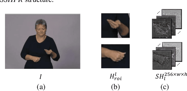 Figure 2 for Serial-parallel Multi-Scale Feature Fusion for Anatomy-Oriented Hand Joint Detection