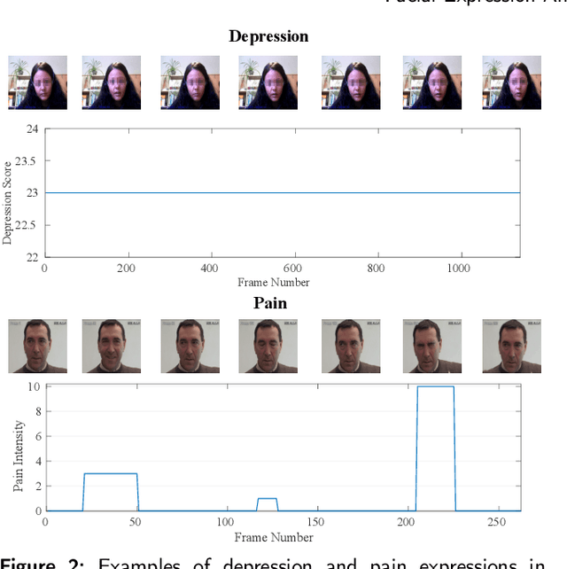 Figure 3 for Facial Expression Analysis Using Decomposed Multiscale Spatiotemporal Networks