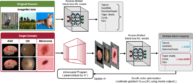 Figure 1 for Transfer Learning without Knowing: Reprogramming Black-box Machine Learning Models with Scarce Data and Limited Resources