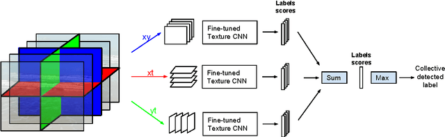 Figure 1 for Convolutional Neural Network on Three Orthogonal Planes for Dynamic Texture Classification