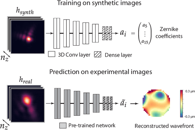 Figure 1 for Fast and accurate aberration estimation from 3D bead images using convolutional neural networks