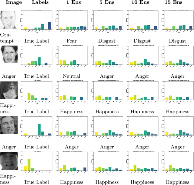 Figure 4 for Hey Human, If your Facial Emotions are Uncertain, You Should Use Bayesian Neural Networks!
