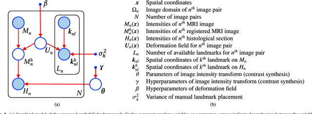 Figure 1 for Joint registration and synthesis using a probabilistic model for alignment of MRI and histological sections