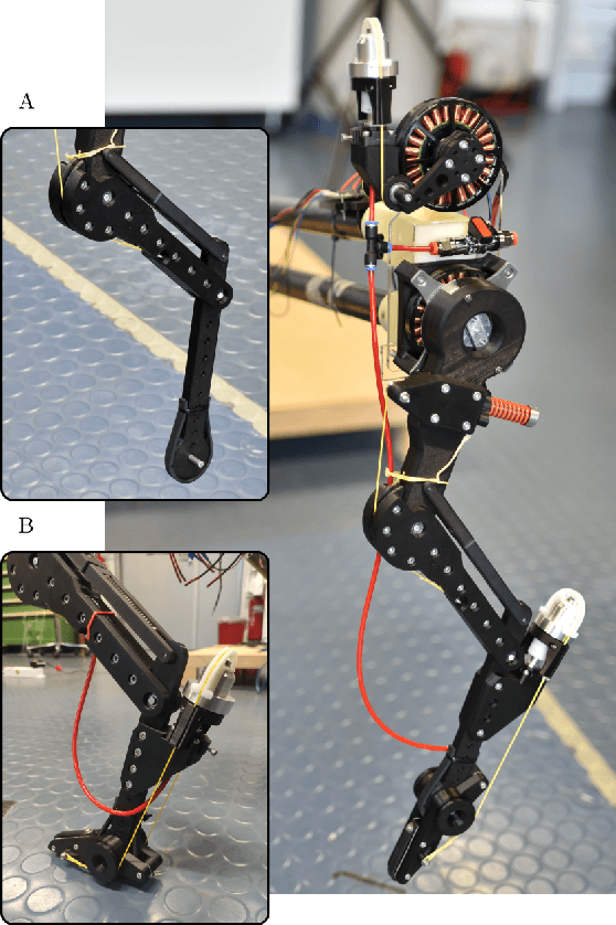 Figure 1 for Diaphragm Ankle Actuation for Efficient Series Elastic Legged Robot Hopping