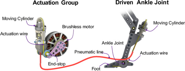 Figure 4 for Diaphragm Ankle Actuation for Efficient Series Elastic Legged Robot Hopping