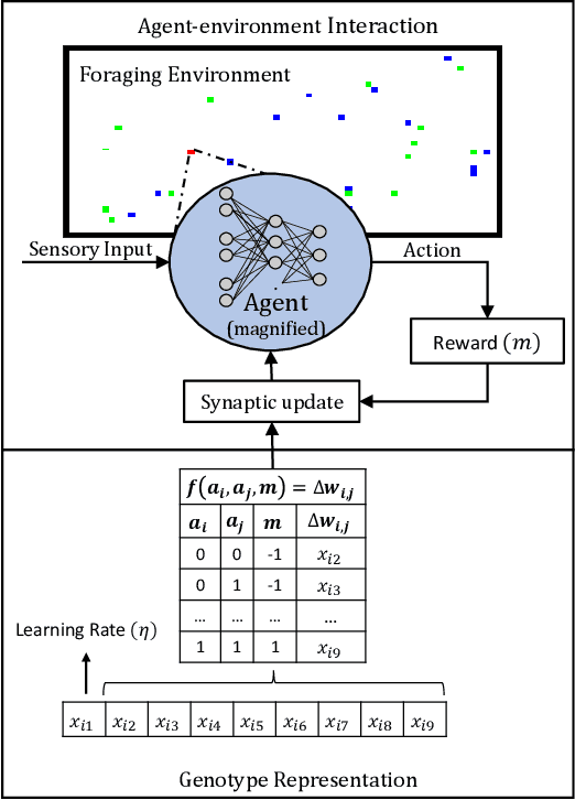 Figure 1 for Evolving Plasticity for Autonomous Learning under Changing Environmental Conditions