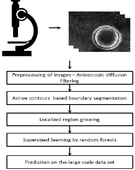 Figure 1 for Grading of Mammalian Cumulus Oocyte Complexes using Machine Learning for in Vitro Embryo Culture