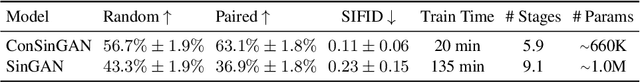 Figure 4 for Improved Techniques for Training Single-Image GANs