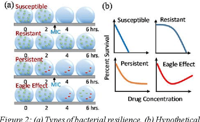 Figure 2 for Open Droplet Microfluidics for Testing Multi-Drug Resistance and Antibiotic Resilience in Bacteria