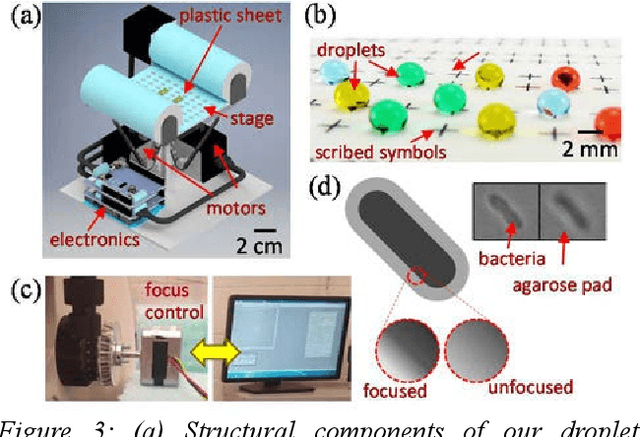 Figure 3 for Open Droplet Microfluidics for Testing Multi-Drug Resistance and Antibiotic Resilience in Bacteria