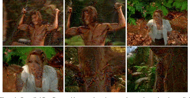Figure 1 for LucidDream: Controlled Temporally-Consistent DeepDream on Videos