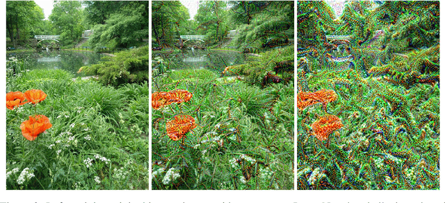 Figure 2 for LucidDream: Controlled Temporally-Consistent DeepDream on Videos