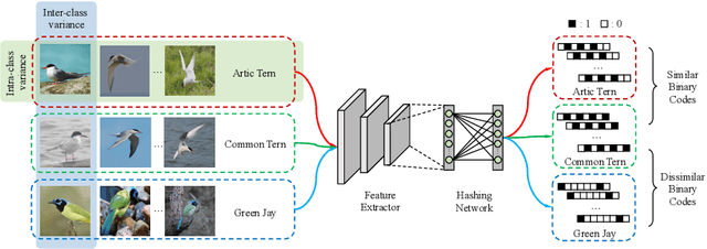 Figure 1 for ExchNet: A Unified Hashing Network for Large-Scale Fine-Grained Image Retrieval