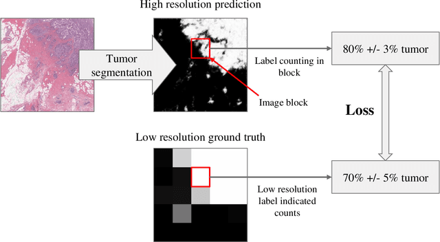 Figure 1 for Label Super Resolution with Inter-Instance Loss