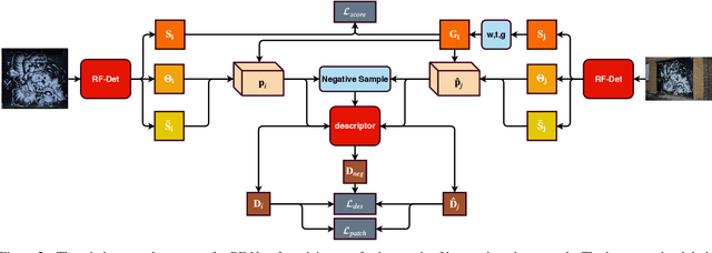 Figure 3 for RF-Net: An End-to-End Image Matching Network based on Receptive Field