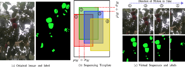Figure 3 for Virtual Temporal Samples for Recurrent Neural Networks: applied to semantic segmentation in agriculture