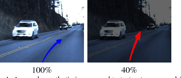 Figure 1 for Manifestation of Image Contrast in Deep Networks