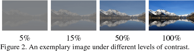 Figure 3 for Manifestation of Image Contrast in Deep Networks