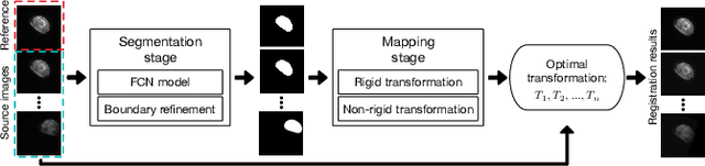 Figure 1 for A New Registration Approach for Dynamic Analysis of Calcium Signals in Organs