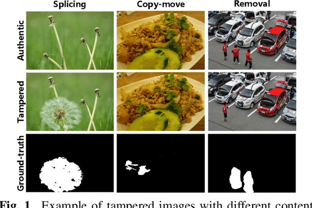 Figure 1 for Constrained R-CNN: A general image manipulation detection model