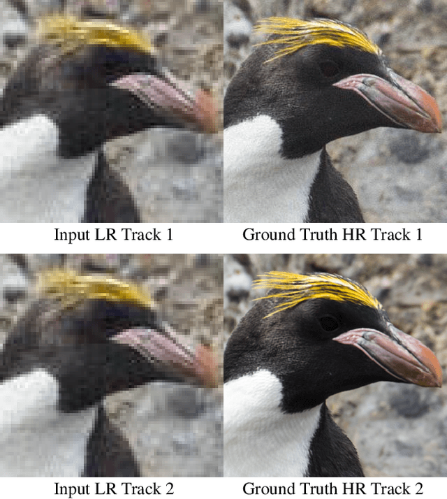 Figure 1 for AIM 2019 Challenge on Real-World Image Super-Resolution: Methods and Results