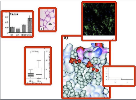 Figure 2 for A Data Driven Approach for Compound Figure Separation Using Convolutional Neural Networks