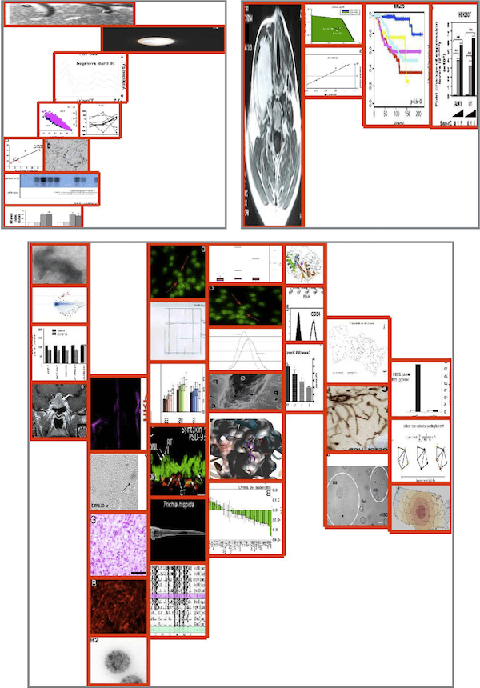 Figure 3 for A Data Driven Approach for Compound Figure Separation Using Convolutional Neural Networks